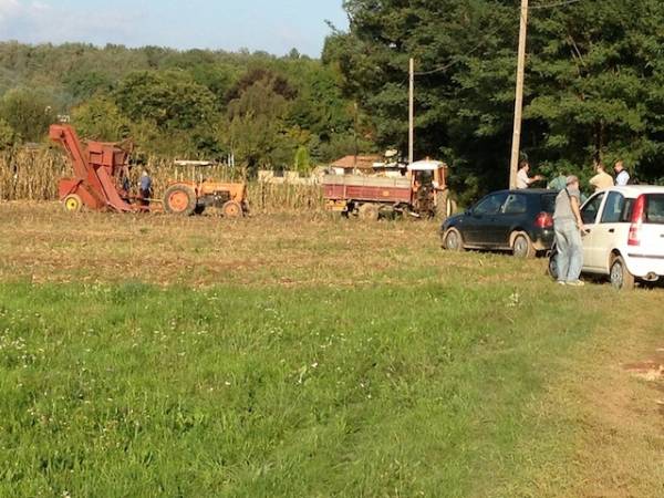 Incidente agricolo castiglione vedano spannocchiatrice (inserita in galleria)