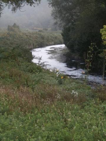 Olona, un fiume di schiuma che frigge (inserita in galleria)