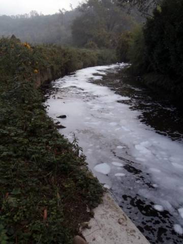 Olona, un fiume di schiuma che frigge (inserita in galleria)