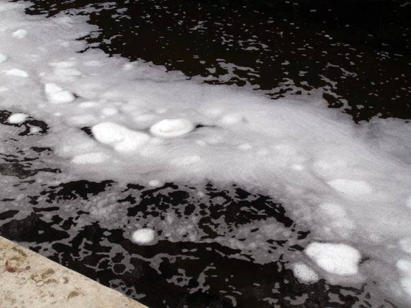 Olona, un fiume di schiuma che frigge (inserita in galleria)