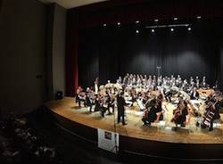 orchestra amadeus teatro sociale busto arsizio