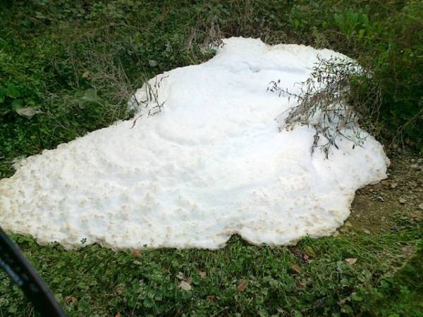 Schiuma dal terreno in Valle Olona (inserita in galleria)