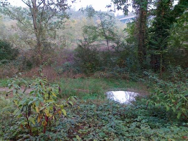 Schiuma dal terreno in Valle Olona (inserita in galleria)