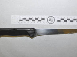 Sulla scena del crimine (inserita in galleria)