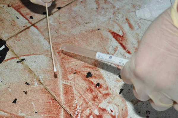 Sulla scena del crimine (inserita in galleria)