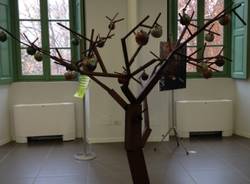 Alberi: una mostra  (inserita in galleria)