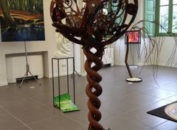 Alberi: una mostra  (inserita in galleria)
