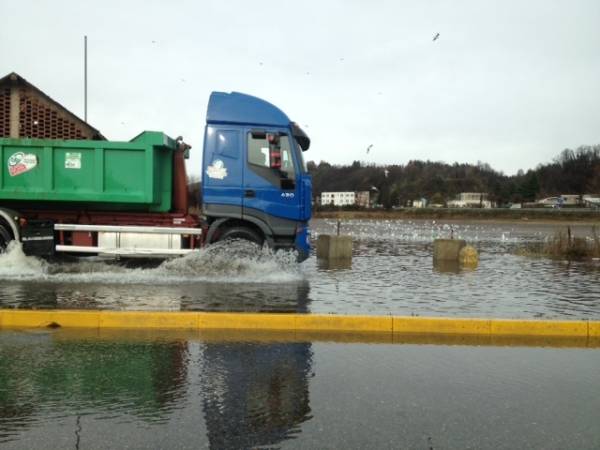 Allagamenti in viale Belforte (inserita in galleria)