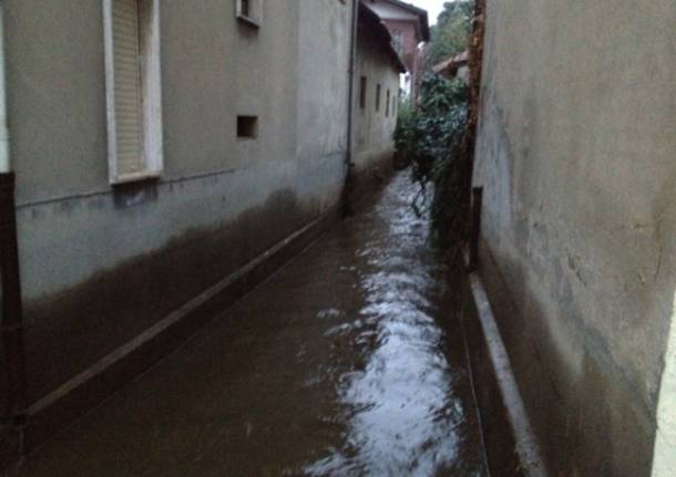 Arno e Sorgiorile, Gallarate in allerta (inserita in galleria)