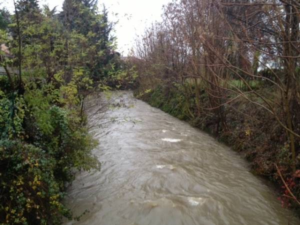 Arno e Sorgiorile, Gallarate in allerta (inserita in galleria)