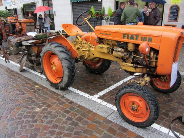 IMG 0015