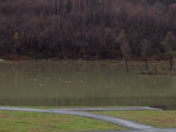 La piena alla diga di Gurone (inserita in galleria)