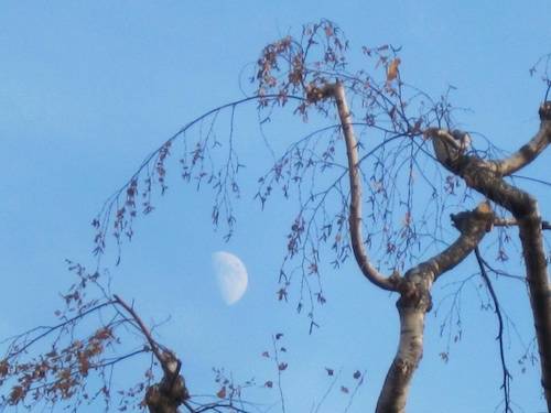 La sciarpa della luna
