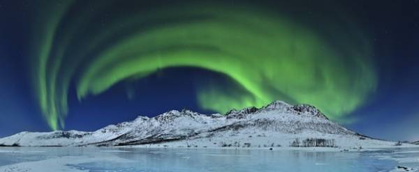 Meravigliosa natura selvaggia (inserita in galleria)