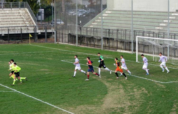 nove  14 