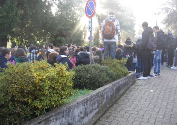 protesta isis stein gavirate studenti sciopero