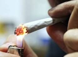spinello apertura droga marijuana canna