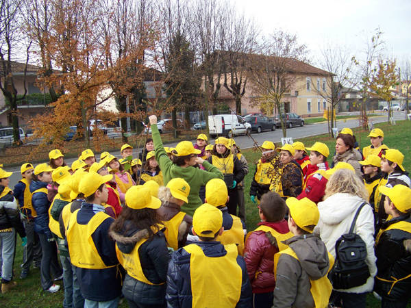 u201CMillofaggio Tradateseu201D: un albero simbolo d'amore (inserita in galleria)