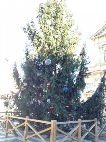 Albero di Natale ecologico in piazza Santuario (inserita in galleria)