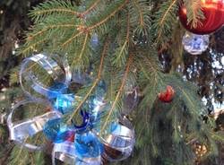 Albero di Natale ecologico in piazza Santuario (inserita in galleria)