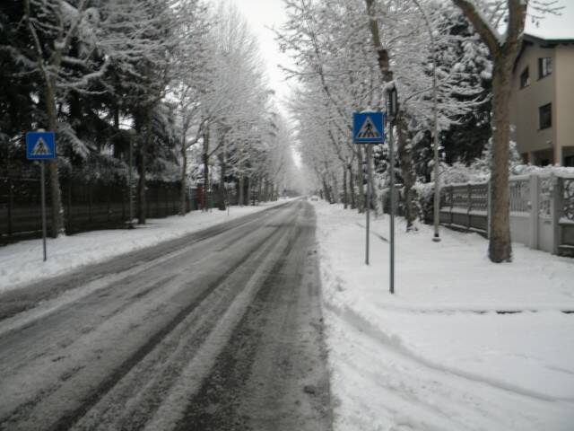 DSCN0039