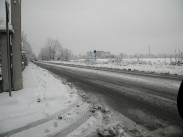 DSCN0041