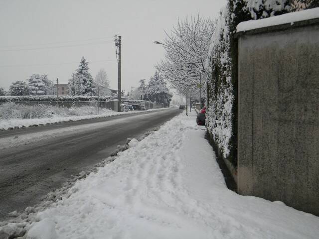 DSCN0042