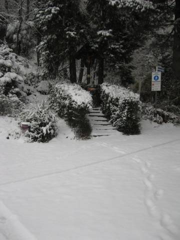 E scende la neve (inserita in galleria)