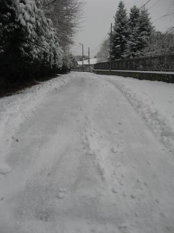 E scende la neve (inserita in galleria)