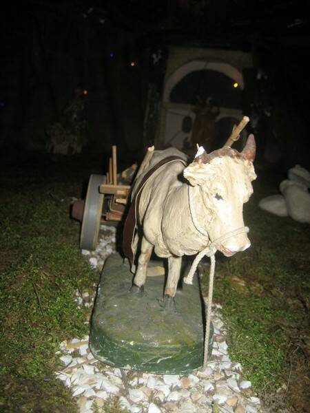IMG 0021