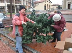 "L'Albero dei bambini" in piazza a Gerenzano (inserita in galleria)