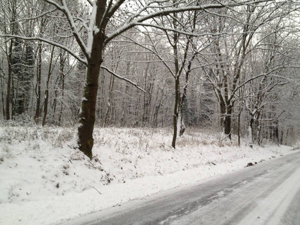 La neve in Valcuvia (inserita in galleria)