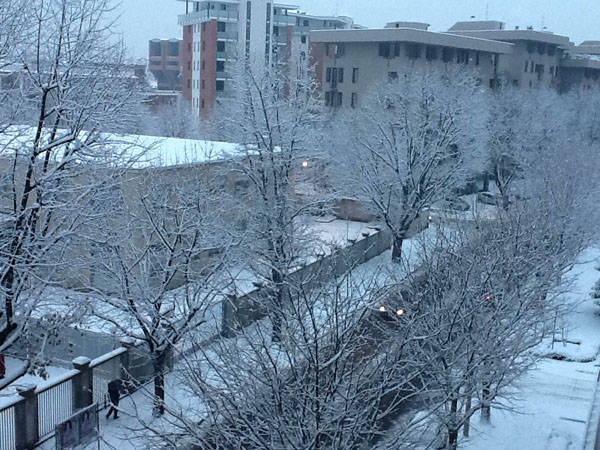 Le neve dei lettori - 2 (inserita in galleria)