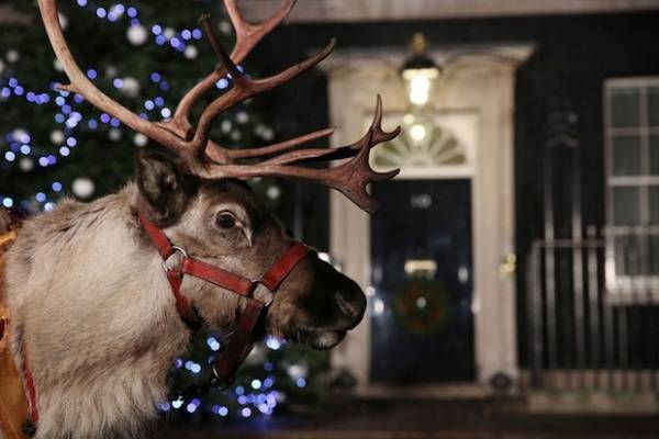 Natale intorno al mondo (inserita in galleria)