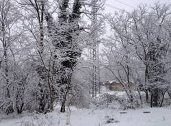 neve valle olona dicembre 2012 (per gallerie fotografiche)