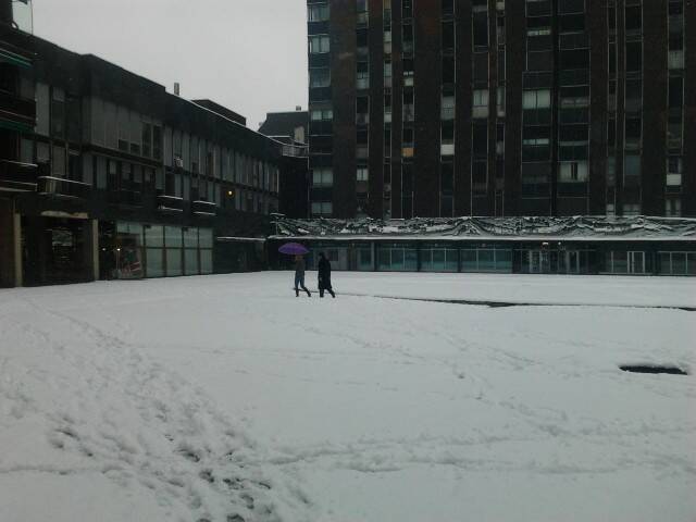 nevicata  11 
