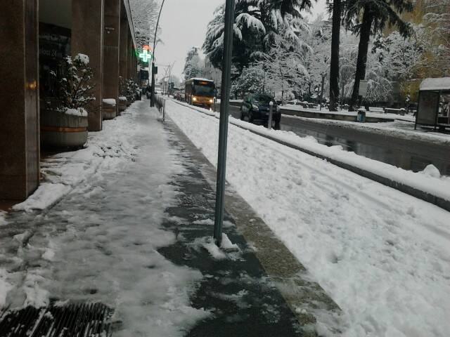 nevicata  31 