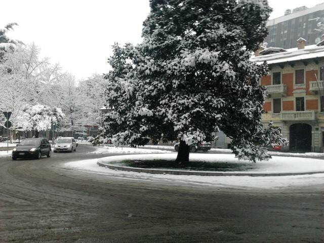 nevicata  33 