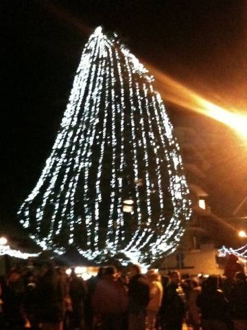 Pivari sotto l'albero di Natale  (inserita in galleria)