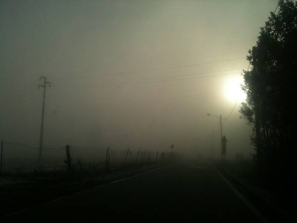 Strade nella nebbia (inserita in galleria)