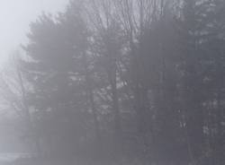 Varesina avvolta nella nebbia (inserita in galleria)