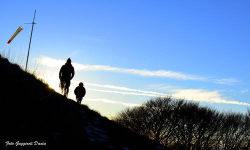 Verso il 2013