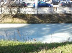 arnetta inquinata inquinamento 2013