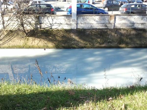 arnetta inquinata inquinamento 2013