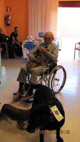 Boom, la mascotte della casa di riposo (inserita in galleria)