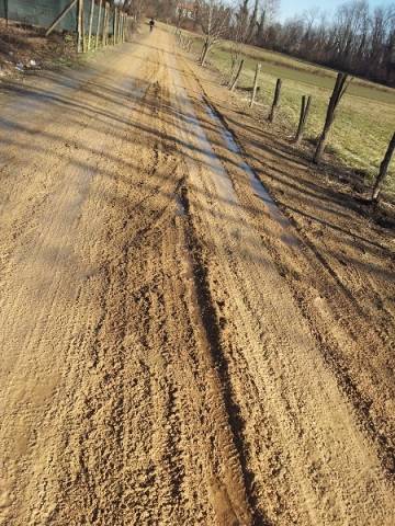 Cosa è successo alla Boschina? (inserita in galleria)