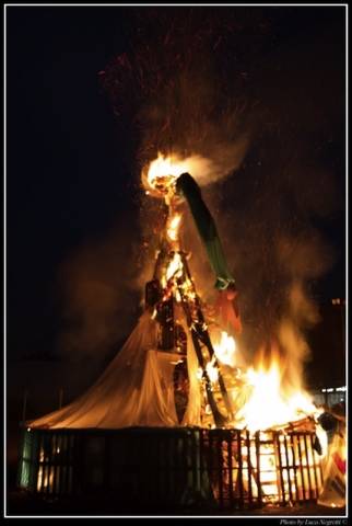 giouebia arnate (inserita in galleria)