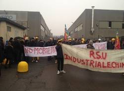 Il corteo dei dipendenti dell'Industria farmaceutica (inserita in galleria)