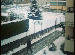 La neve dei lettori  (inserita in galleria)