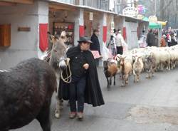 Oltre 600 figuranti per Sant'Antonio (inserita in galleria)